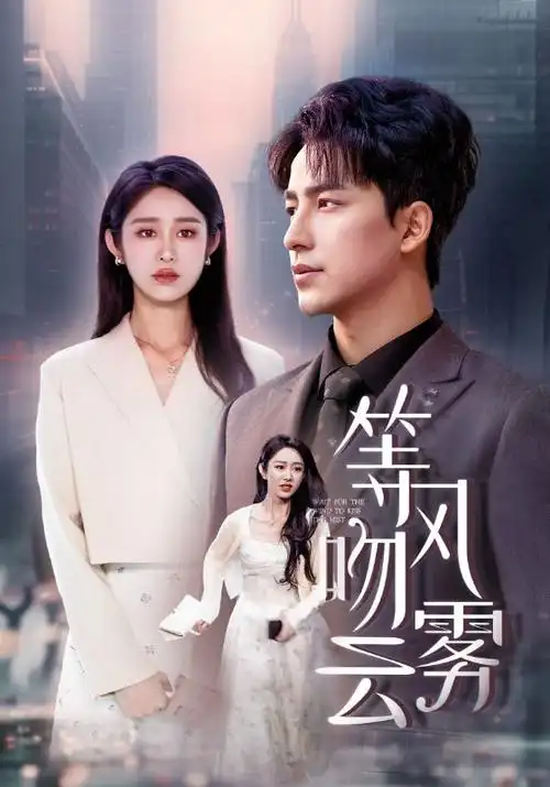 木器行纪实节目幕后记录封面图